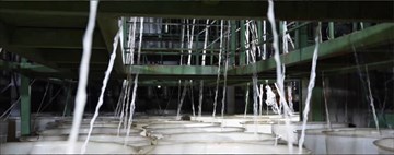 Production Stages