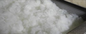 Fiber